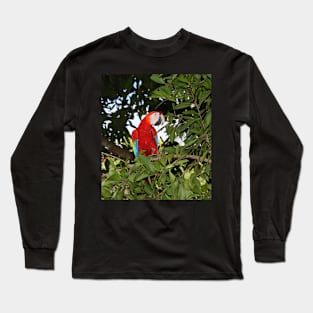 Scarlet Macaw Long Sleeve T-Shirt